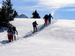 {{brizy_dc_image_alt entityId=